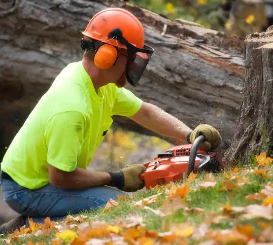 tree services Langley Park